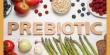 Prebiotic Fiber Market to Hit USD 13.1 Billion by 2035, Driven by Rising Gut Health Awareness
