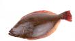 Global Halibut Market Set for USD 1.9 Billion Milestone by 2035 Amid Rising Healthy Seafood Demand