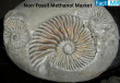 Non-Fossil Methanol Market is Expected to Reach a Valuation of USD 9,049 Million by 2035 | Fact.MR Report