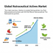 Nutraceutical Actives Market Set for USD 68.2 Billion by 2035 on Back of Growing Functional Food and Supplement Demand