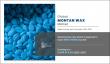 Montan Wax Market: Industry Insights and Strategic Growth Forecasts, 2021-2031