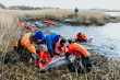 New College of Florida Leads Groundbreaking Whale Auditory Pathways Study