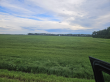 Horizon Specialty Seeds to Showcase Certified Hemp and Flax Varieties at NDSU Fiber Roundtable, August 20