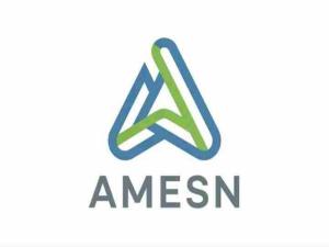 Amesn Domain Names