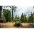 First Tribally-led Forest Resilience Bond Launches, Strengthening Capacity for Indigenous Stewardship in California