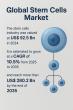 Stem Cells Market Size to Reach US$ 280.2 Billion by 2035 - Transparency Market Research, Inc.