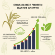Organic Rice Protein Market to Hit USD 175.5 Million by 2035, Driven by Rising Demand for Plant-Based Nutrition