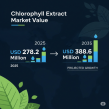 Chlorophyll Extract Market to Hit USD 388.6 Million by 2035, Fueled by Rising Demand for Natural Food Colorants