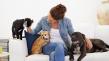 Pet Sitting Market Set to Witness Significant Growth by 2025-2032 | A Place for Rover, Inc., Pets at Home, Wag! Group Co