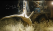 Documentary Exposes Cruelty in Australian Kangaroo Industry, Undermining Government Assurances to Stakeholders 