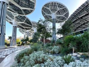 Terra @ Expo City