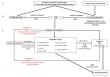 Chronic Pain and Mental Well-being Linked to IBS Risk: Genetic Study Identifies Modifiable Factors 