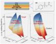 A clearer view of traps: full-dimensional imaging boosts solar efficiency