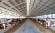 Evfarmer Partners with Multiple Dairy Farms in California’s San Joaquin Valley to Drive Agricultural Innovation