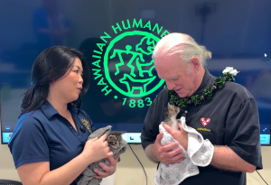 animalzone hawaii