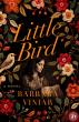 Barbara Viniar’s Little Bird Brings Turn-of-the-Century New York to Life in a Story of Courage, Independence and Love