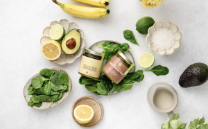 Seed & Shell recipes