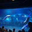 Tonight at 6:30: Contest Winners Dive with Bull Sharks at the Oklahoma Aquarium