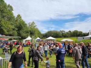 Many activities to do at Dino Days
