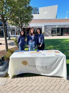 IVPC-Workplace-mental-health