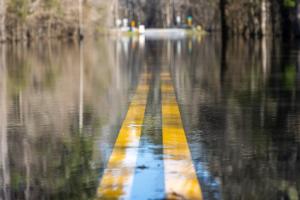 Flooded Road in South Carolina