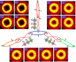 Noncommutative metasurfaces enabled diverse quantum path entanglement of structured photons