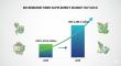 Microbiome Fiber Supplements Market Poised for 6.4% CAGR Growth Through 2035 on Rising Probiotic & Prebiotic Demand