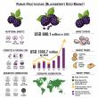 Rubus Fructicosus (Blackberry) Seed Market to Hit USD 1366.7 Million by 2035, Driven by Nutraceutical Demand | FMI