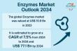 Enzymes Market to Exceed USD 77.1 Bn by 2034, Growing at 7.5% CAGR on Rising Demand for Sustainable Additive & Packaging