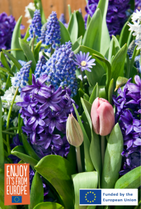Image of flower bulbs