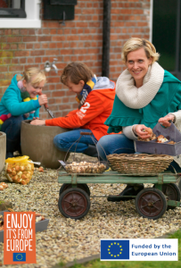 Image of flower bulbs