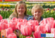 Flowerbulb.eu Teaches the Simple Secrets to Planting Bulbs Like a Pro