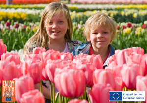 Image of flower bulbs