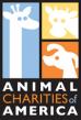 From Service Animals to Shelters, Animal Charities of America Drives Real Change