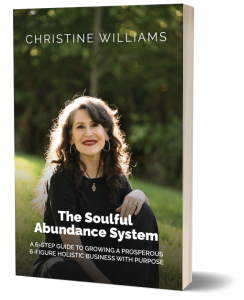 The Soulful Abundance System