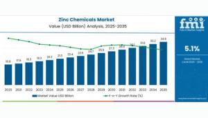 Zinc Chemicals Market