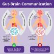 Groundbreaking Gut, Metabolic and Neurological Support Protocol for Children with Special Needs