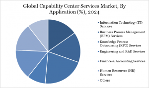 By Application 2024