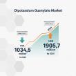 Dipotassium Guanylate Market to Reach USD 1905.7 Million by 2035, Driven by Rising Demand for Flavor Enhancers