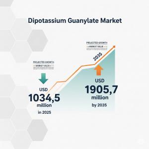 Dipotassium Guanylate Market