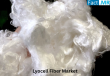 Lyocell Fiber Market is Expected to Reach USD 6.0 Billion by 2035, Fact.MR Report