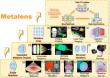 Metalens Evolution from Individual Devices to Integrated Arrays