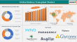 Kidney Transplant Market Soars: Innovative Therapies and Rising Demand Drive Global Growth 2025 | DataM Intelligence