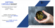 Global Softgel Capsules Market to Reach $7.5 Billion by 2031