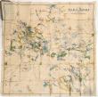 Mineral Survey Archive from 1878-1935 in Colorado fetches $28,060 in Holabird's penultimate live auction, August 8-10