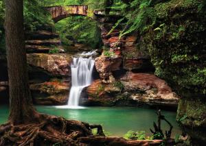 The Hocking Hills' outstanding hiking, rappelling kayaking, beautiful cabins and great restaurants join spectacular waterfalls and experiences to make attending Jack Pine's Glass Pumpkin Patch a don't miss fall festival.