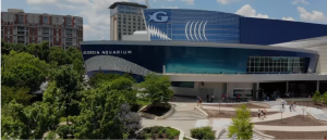Photo of the Exterior of the Georgia Aquarium