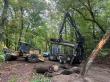 Grade Timber Releases Free Field Guide to Empower Illinois Landowners Amid Rising Timber Prices