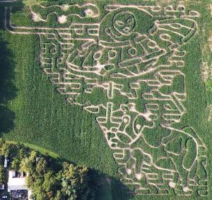 UFO's have been spotted in Carpentersville NJ in the Corn Maze