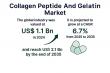 Collagen Peptide and Gelatin Market to Reach USD 2.1 Billion Amid Rising Health & Beauty Demand